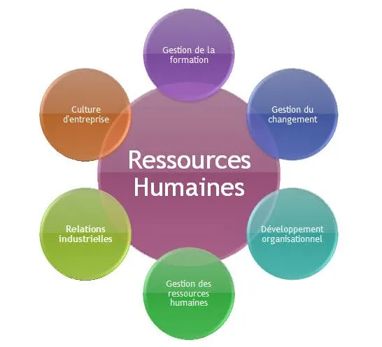 Gestion des Ressources Humaines